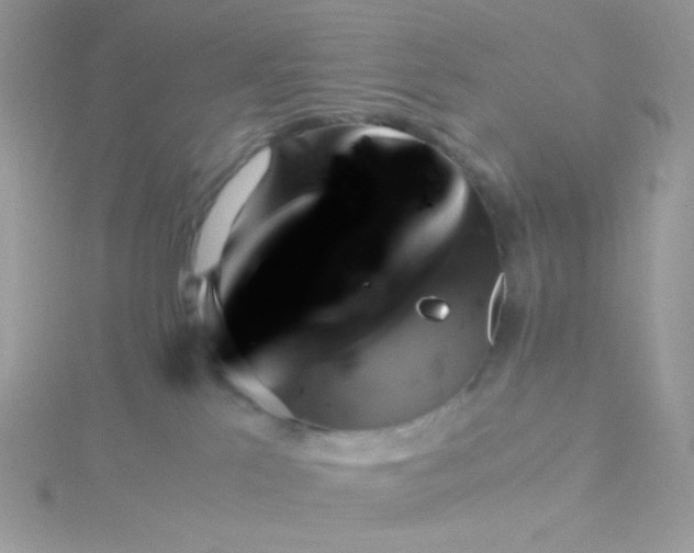 X0000115820041200911271147