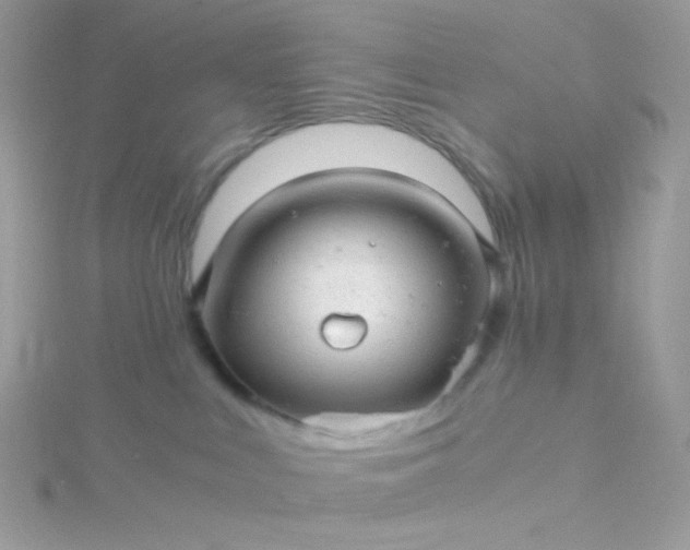 X0000115820043200911271147