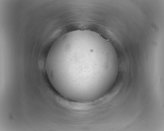 X0000115820044200911271147