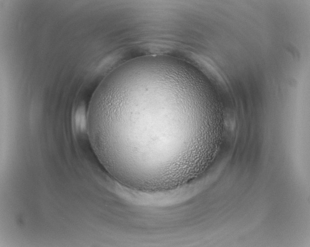 X0000115820046200911271147