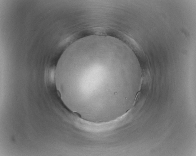 X0000115820047200911271147