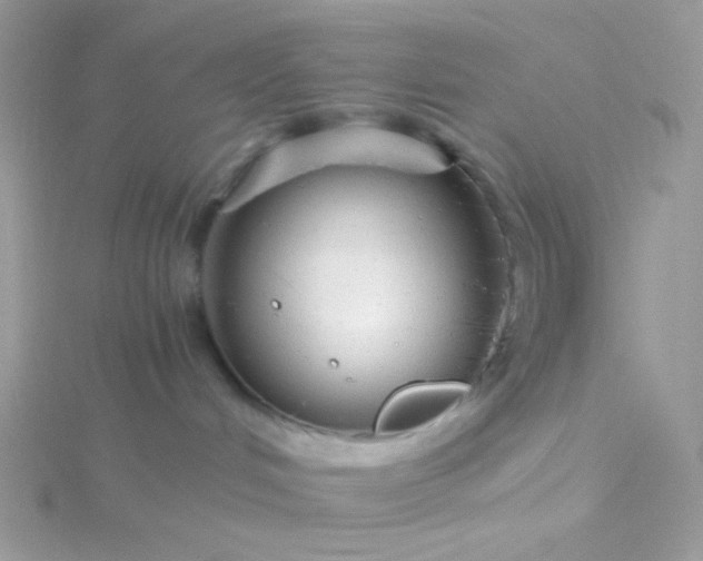 X0000115820048200911271147