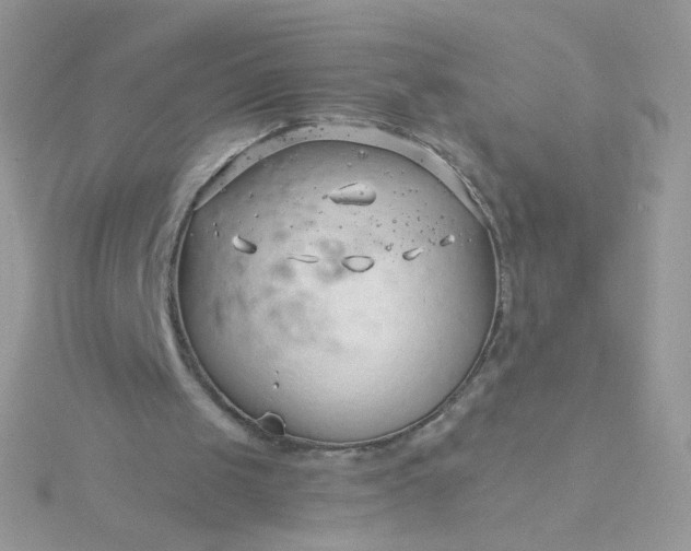 X0000115820049200911271146