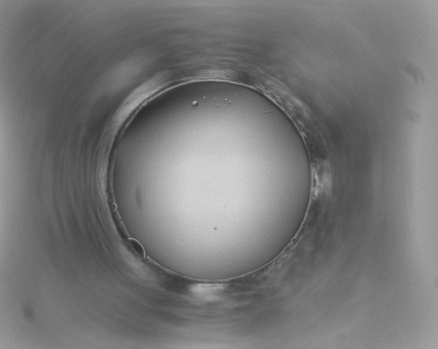 X0000115820051200911271146