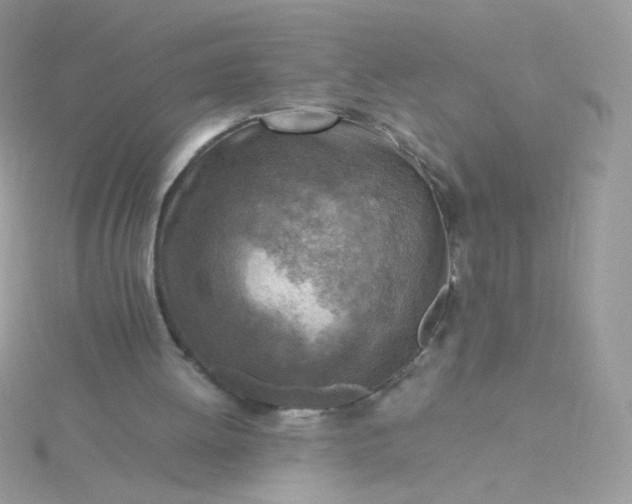 X0000115820052200911271146