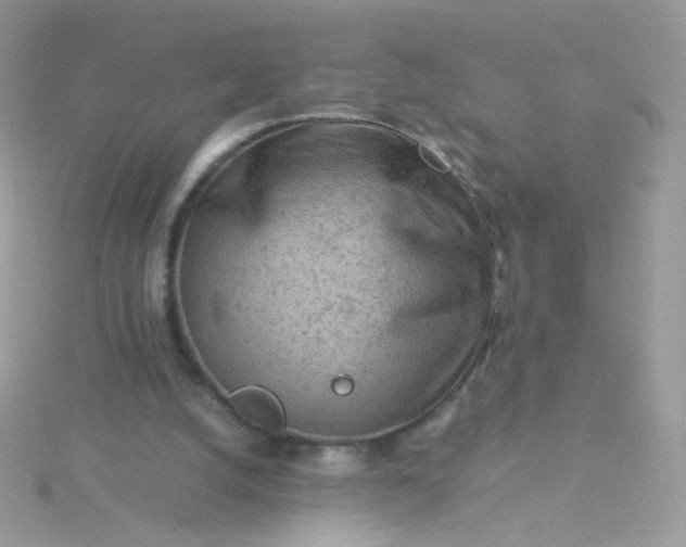 X0000115820056200911271146