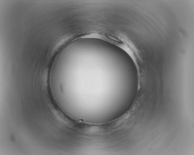 X0000115820058200911271146