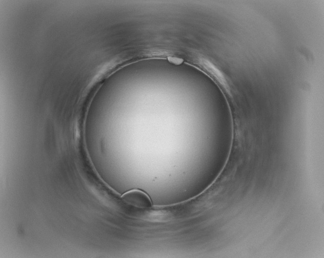 X0000115820059200911271146