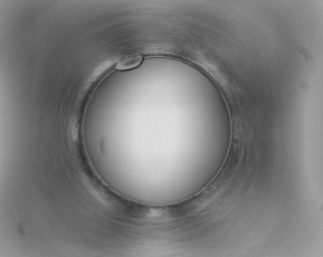 X0000115820060200911271146