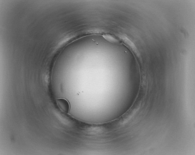 X0000115820063200911271146