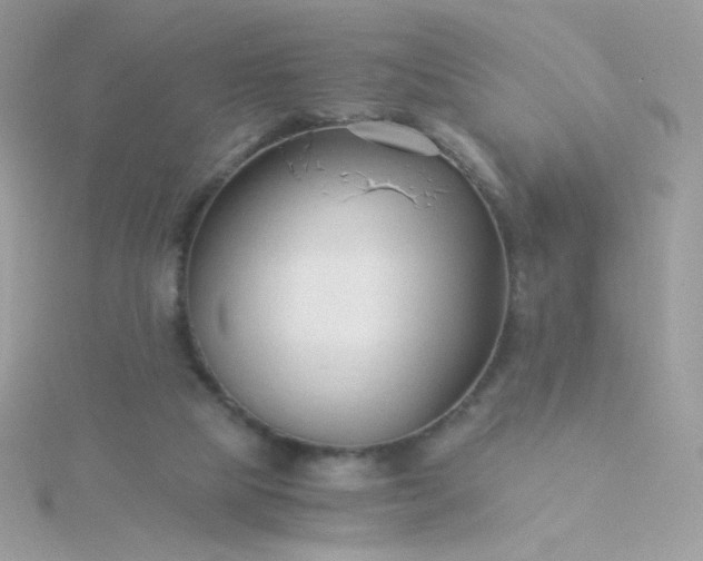 X0000115820065200911271146