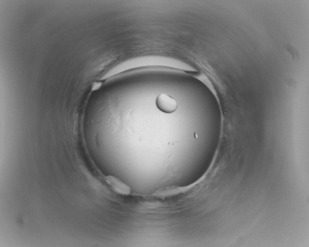 X0000115820066200911271146