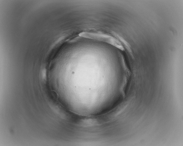 X0000115820067200911271146