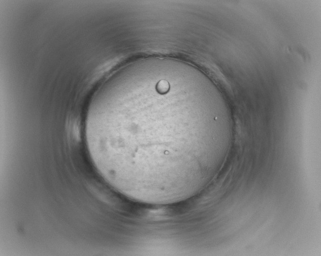 X0000115820068200911271146