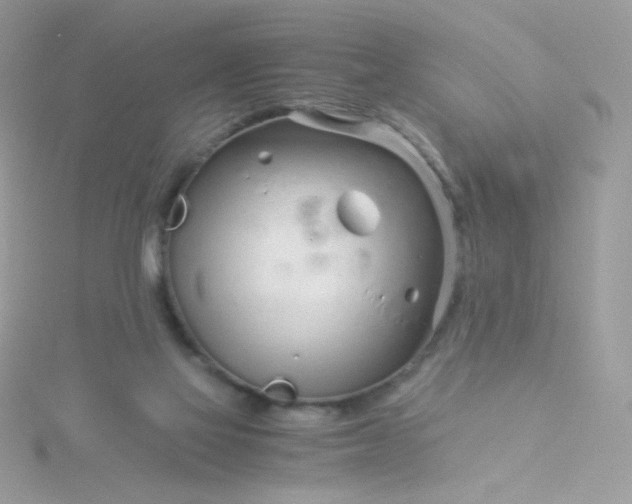 X0000115820069200911271147