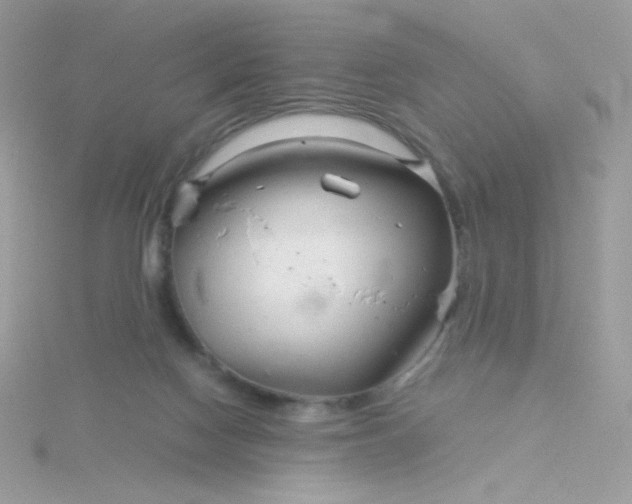 X0000115820074200911271147