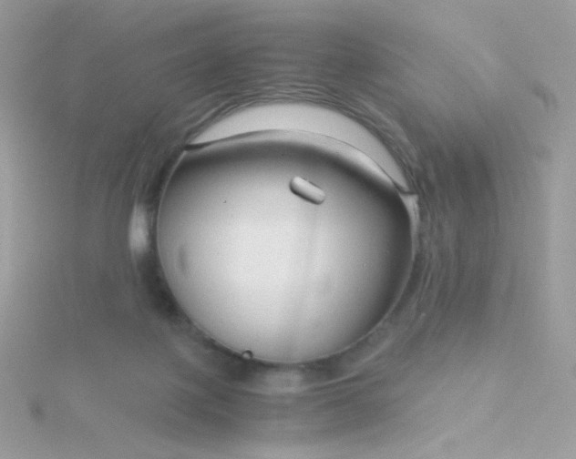 X0000115820075200911271147