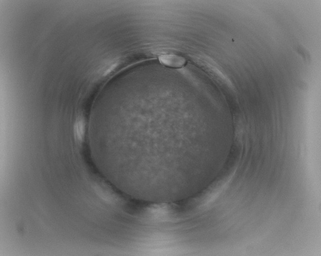 X0000115820076200911271147