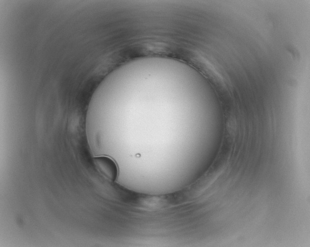 X0000115820079200911271147