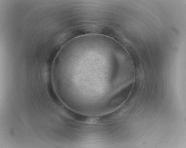 X0000115820080200911271147