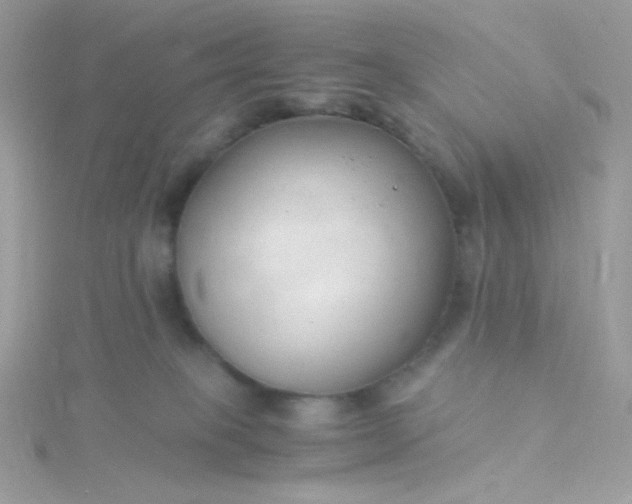 X0000115820085200911271147