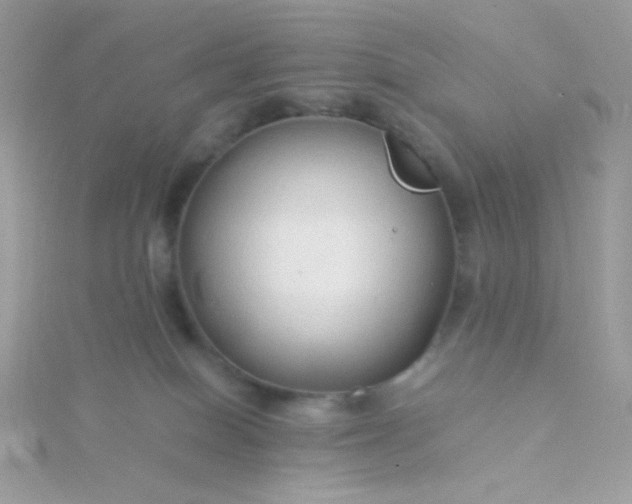 X0000115820086200911271147