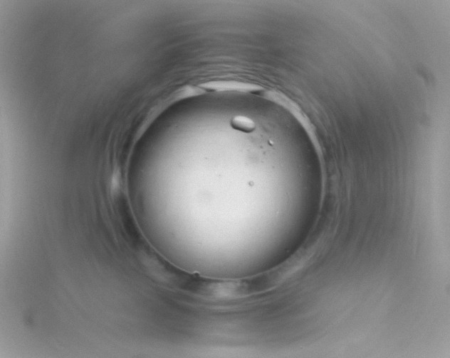 X0000115820089200911271147