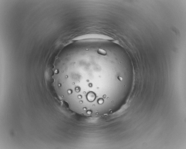 X0000115820090200911271147