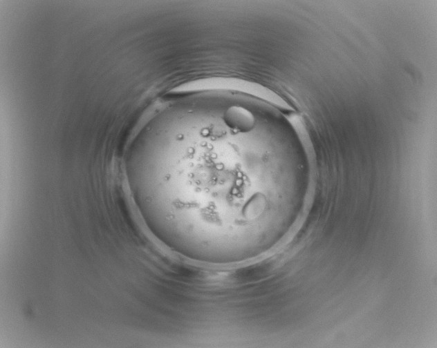 X0000115820093200911271147