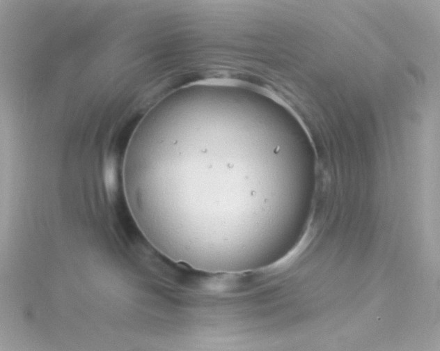 X0000115820094200911271147