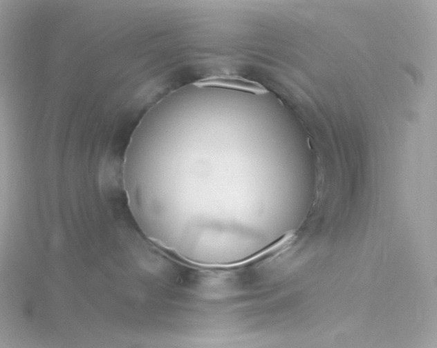 X0000115820096200911271147