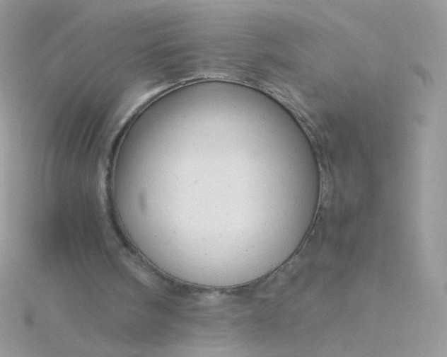 X0000115820098200911271146