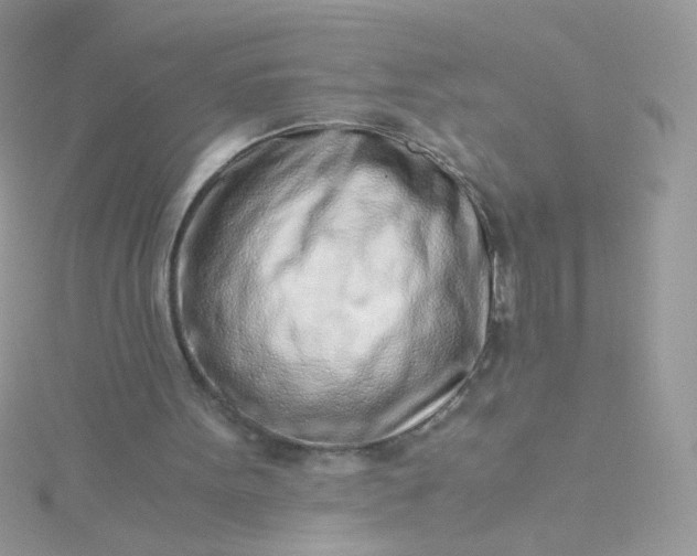 X0000115820099200911271146