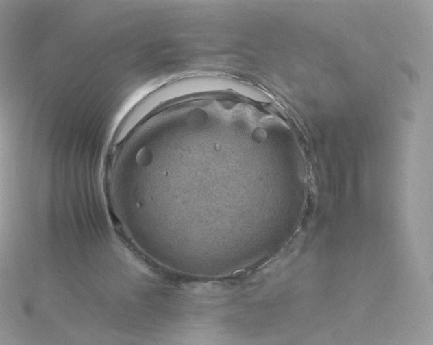 X0000115820100200911271146