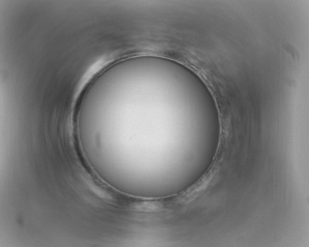 X0000115820102200911271146