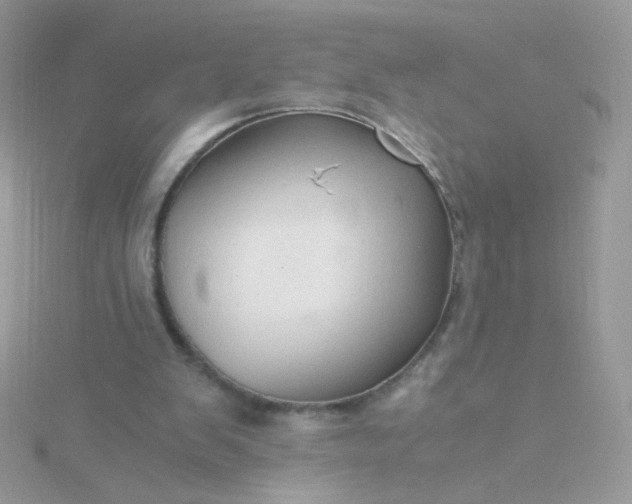 X0000115820103200911271146