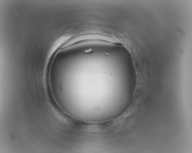 X0000115820104200911271146