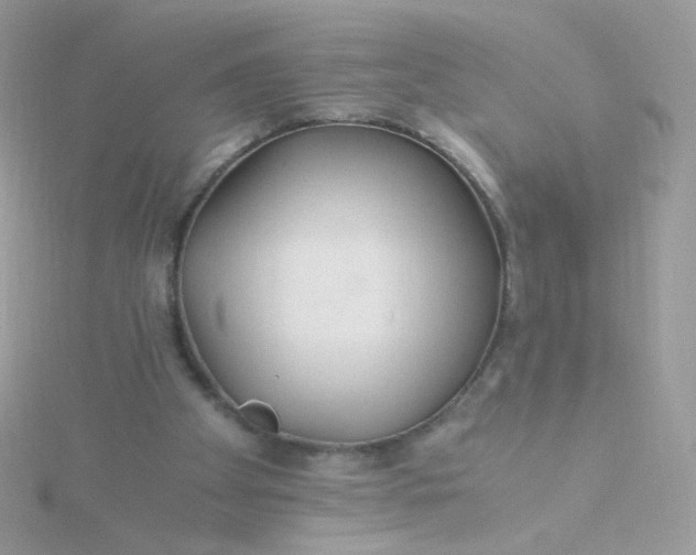 X0000115820105200911271146