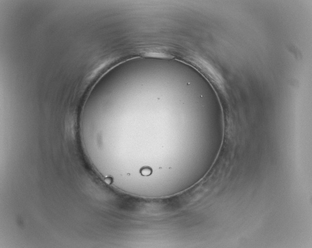 X0000115820107200911271146