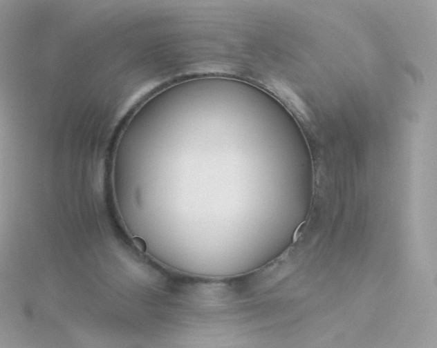 X0000115820108200911271146