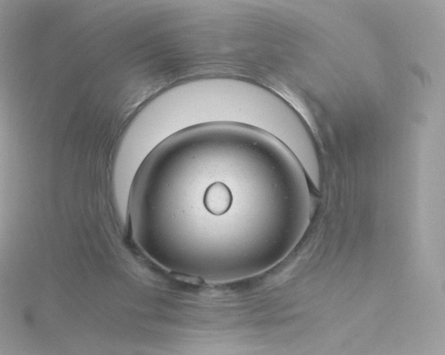 X0000115820109200911271146