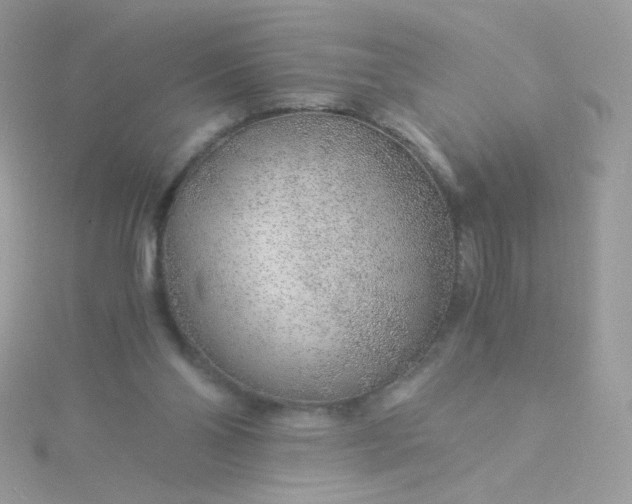 X0000115820110200911271146