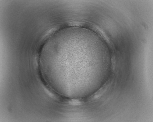 X0000115820114200911271146