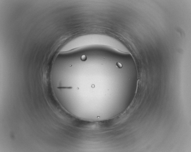 X0000115820116200911271146