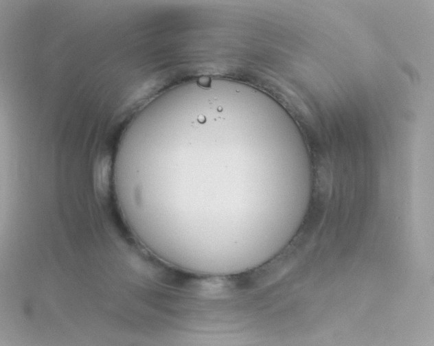 X0000115820118200911271146