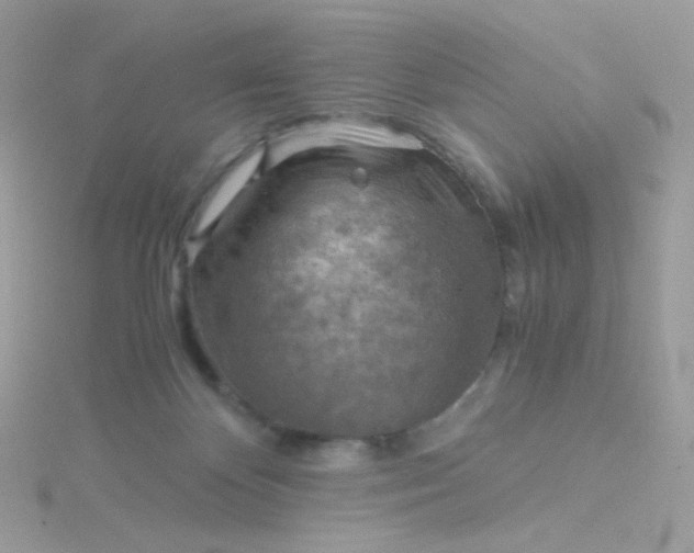 X0000115820124200911271146