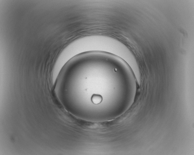 X0000115820125200911271146