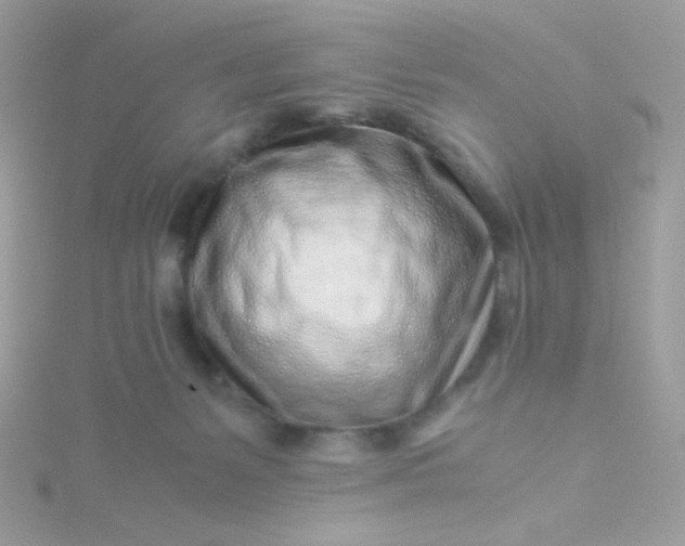 X0000115820127200911271146