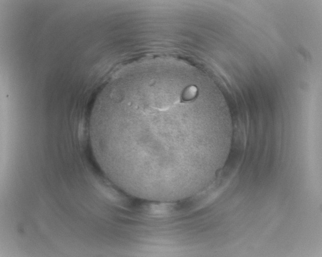 X0000115820134200911271146