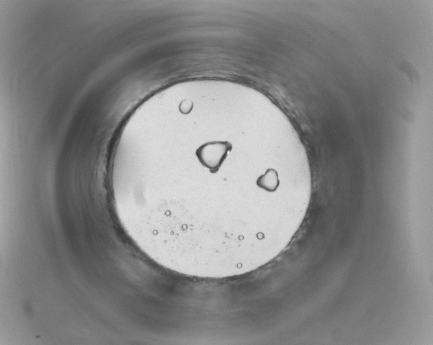 X0000115820146200911271145